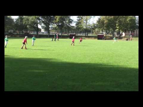 groenwit f1 vdz oct 09