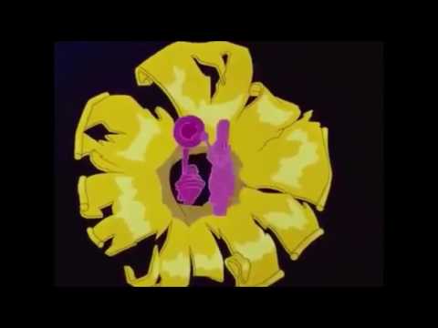 Animal Story part 3 - "The Pink Elephants on Parade"