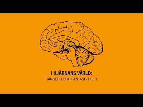 I hjärnans värld: Känslor och fantasi - Del 1