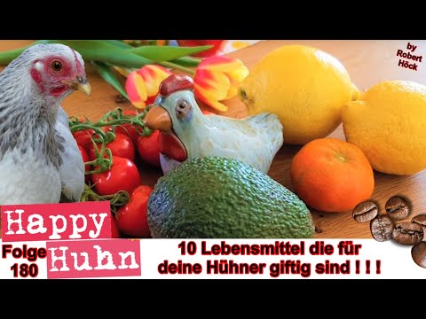 , title : 'E180 Zehn Lebensmittel die für Hühner schädlich sind - HAPPY HUHN - Futter, Avocado, Salz, GIFTIG'