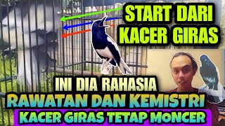Download lagu INI DIA RAHASIANYA ⁉️ TIPS KACER GIRAS TETAP GACOR BUKA EKOR HANYA DENGAN CARA INI mp3