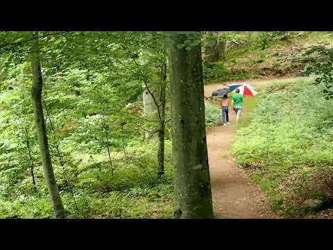 Ulla o Jaana i Ronneby Brunnsskog 7 juli 2021