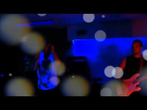 Amerikafka - The Hiram Key (cute funny kittens)