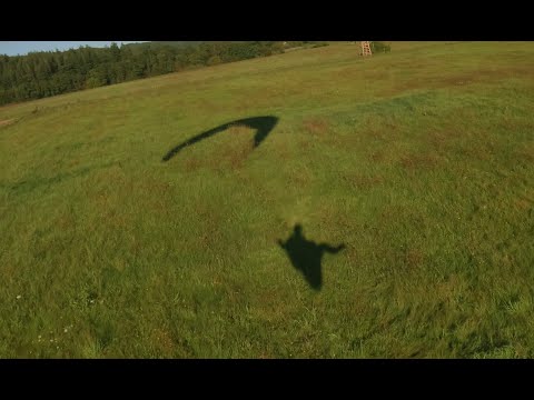 Find the mistake 🐘Paragliding