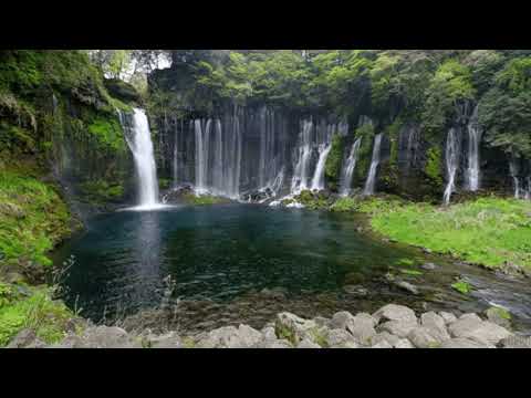 Cotton Fields (The Cotton Song) by Creedence Clearwater Revival - 1969 (with lyrics)