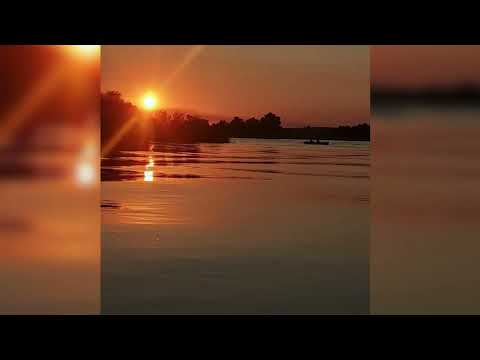 Dunav | DENNA | Demo Version