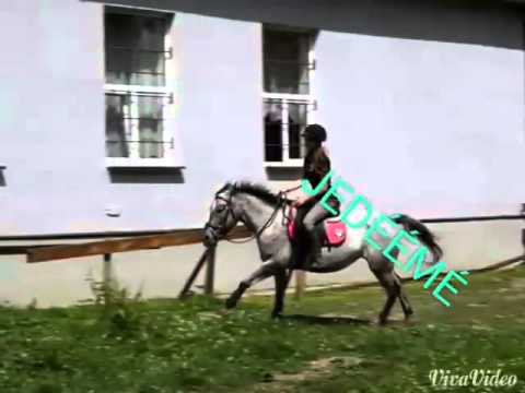 Adminka El and Míša a Perla