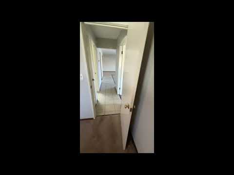 Williamsburg Flats 215 - Video 2 of 2
