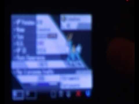 pokemon bianco la cattura dei tre cani leggendari