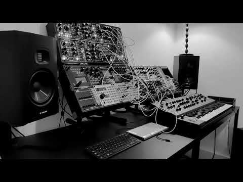 Moog Matriarch definitly has bite #moog #synthesizer #modularsynthesizer #eurorack