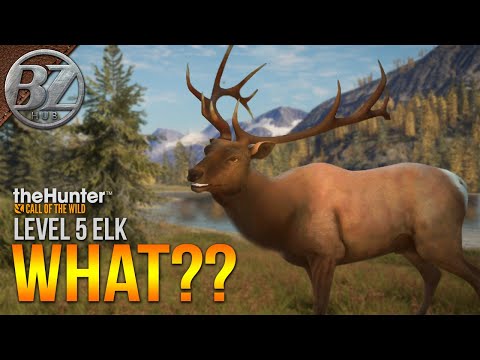 This Level 5 ELK Got me like... What? (theHunter: Call of the Wild)