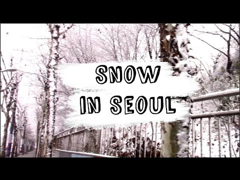 Vlog: Snow In Seoul