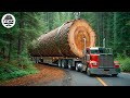 Extreme Dangerous Big Logging Wood Truck Driving Skill Fastest Chainsaw Cutting Tree Machines 21