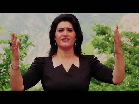 Gofile Paplekaj Kange per Don Pecen HD