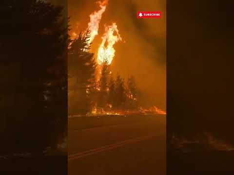 The fire has reached National Route 40 between Epuyén and El Hoyo in Chubut Province, Pata..