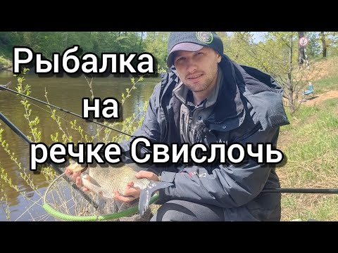 Фидерная рыбалка в мае на речке Свислочь. Ловля леща на речке.