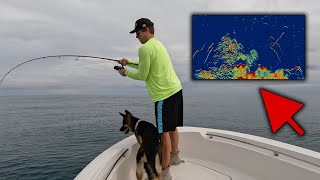 Spring Fishing - The BIG Spanish Mackerel are HERE - *PB FISH*