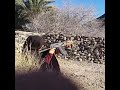 Balochi Girl Fireing OSM Short Firstshortvideo Youtubeshort Shortvideo