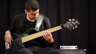 Video thumbnail for Eich Amplification 210M Cabinet + T-500 Bass Amp demo with Daniel van der Molen by Eich Amplification