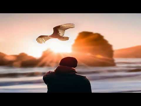 Seth Schwarz, UCP Berlin - Cyclops & Goats (Original Mix)