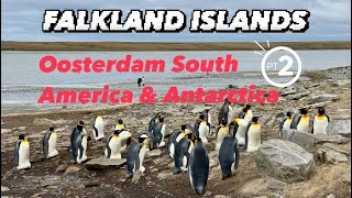 My Day in the Falkland Islands π«π° One Million Penguins. HAL Oosterdam South America Antarctica.