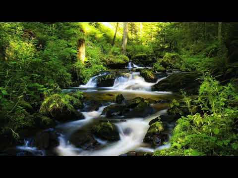 S’endormir rapidement et dormir profondément | Bruits de rivière