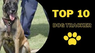 The Top 10 Tracker Dogs ! I Meet the 10 of the Best Tracker Dogs in Action !