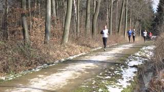 preview picture of video '17.03.2013 - Volkslauf Eschweiler'