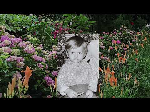 Peace and Tranquility Trailer - Sheffield DocFest 2022