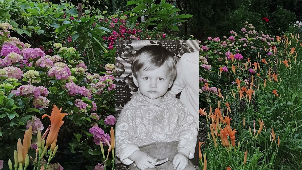 Peace and Tranquility Trailer - Sheffield DocFest 2022