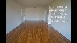 Studio Apartment Queens Nyc hmongbuy - studio apartment for rent in rego park, queens, nyc Studio Apartment Queens Nyc hmongbuy - studio apartment for rent in rego park, queens, nyc