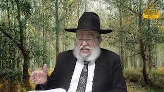 דף היומי בחצי שעה – בבא מציעא דף ל’