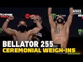 Bellator 255 Weigh-in Staredowns - MMA Fighting