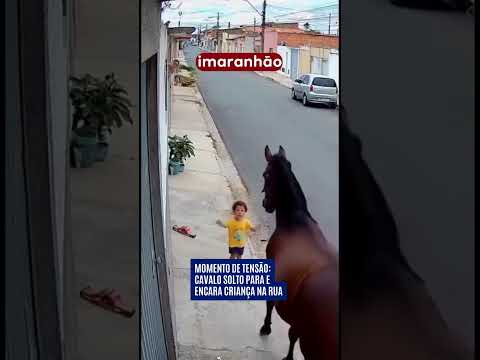 Momento de tensão: cavalo solto para e encara criança na rua