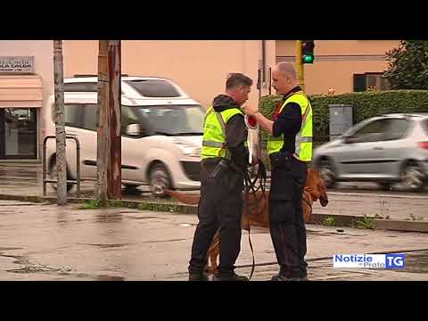 2018-05-30 PRATO - ESAME DNA, DI SERGIO RUSSO I RESTI TROVATI NEL BOSCO