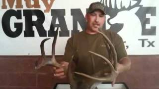 preview picture of video 'Kenneth Ryman - Muy Grande Deer Contest'