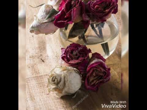 Te quedaste sola ... Conjunto primavera