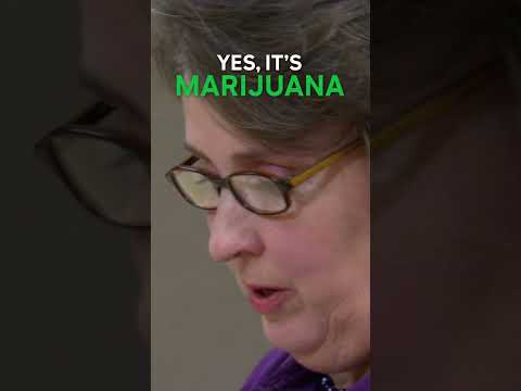 Creed knows his stuff 🍃 #Shorts #Creed #NorthernLights