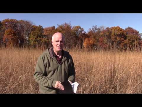 3 minutos Marcos 16:17, 18