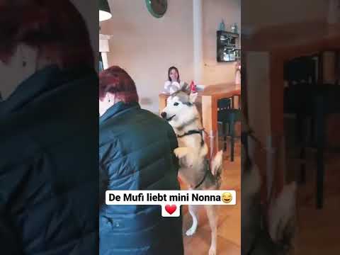 Maestro - Muffi (Soundpassion)