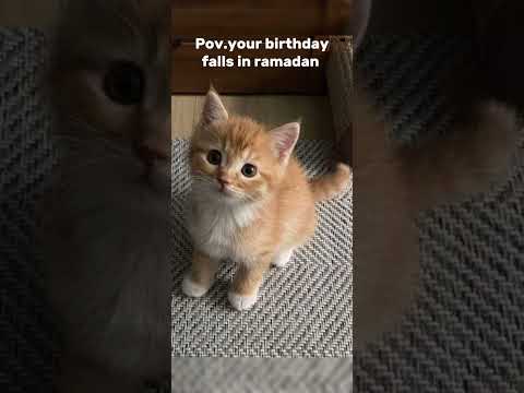 Your birthday falls in ramadan #trending #yasna & kaina #funny #comedy #viral #shortsvideo