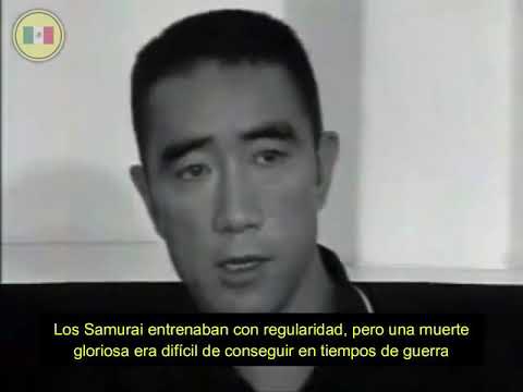 ENTREVISTA I Angélica Liddell