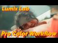 Infinite Free LUTS From Lumix Lab The Ultimate Workflow For Color Grading
