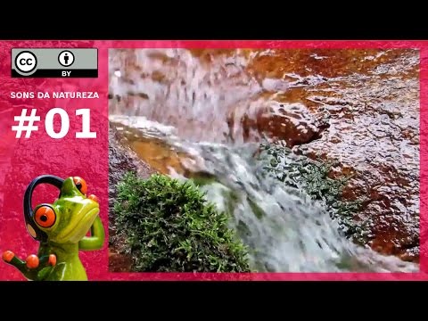 Nature Sounds (Water Flowing) Sleeping Studying Meditation Relaxation #01