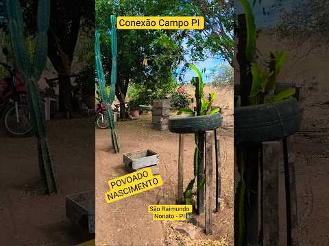 Zona Rural de São Raimundo Nonato #lifestyle #saboresdaroca #conexaocampopi