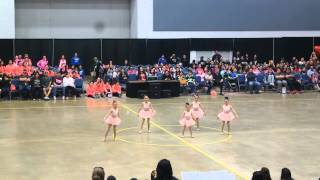 Dance Force Mascots Winners from Jr. Padre Contest at ADTS Competition 2015