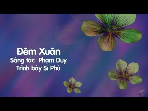 Đêm xuân Sheet - Sĩ Phú