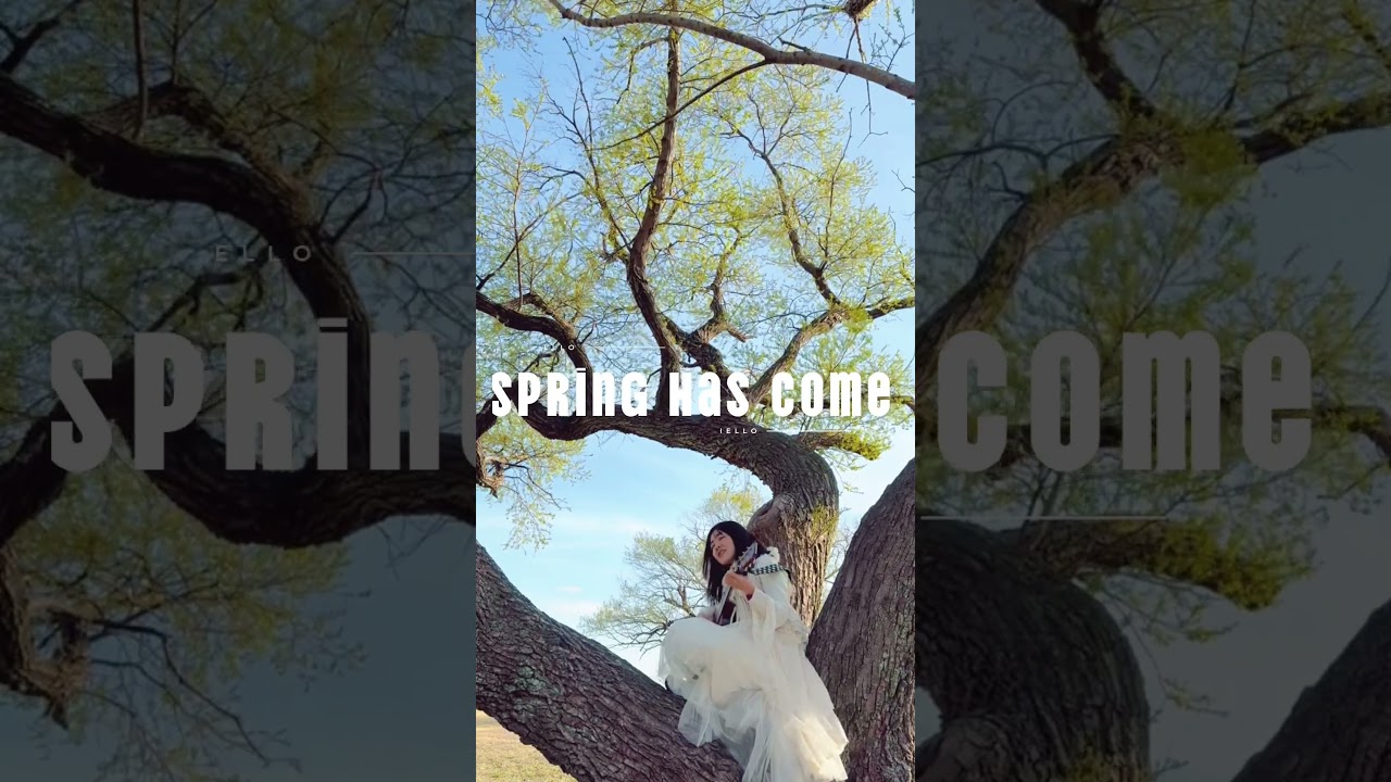 日本の歌【春が来た】木の上でギター弾き語り/春分の日/LowdenWL-25 #ギター弾き語り女子 #ギター