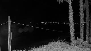 🌊 &Kappa;&epsilon;&phi;&alpha;&lambda;&omicron;&nu;&iota;ά: &Pi;&alpha;&rho;&alpha;&lambda;ί&alpha; &Lambda;&omicron;&upsilon;&rho;&delta;ά Live Webcam