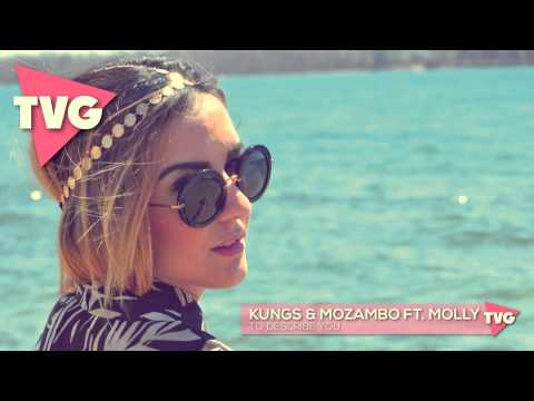 Kungs & Mozambo ft. Molly - To Describe You